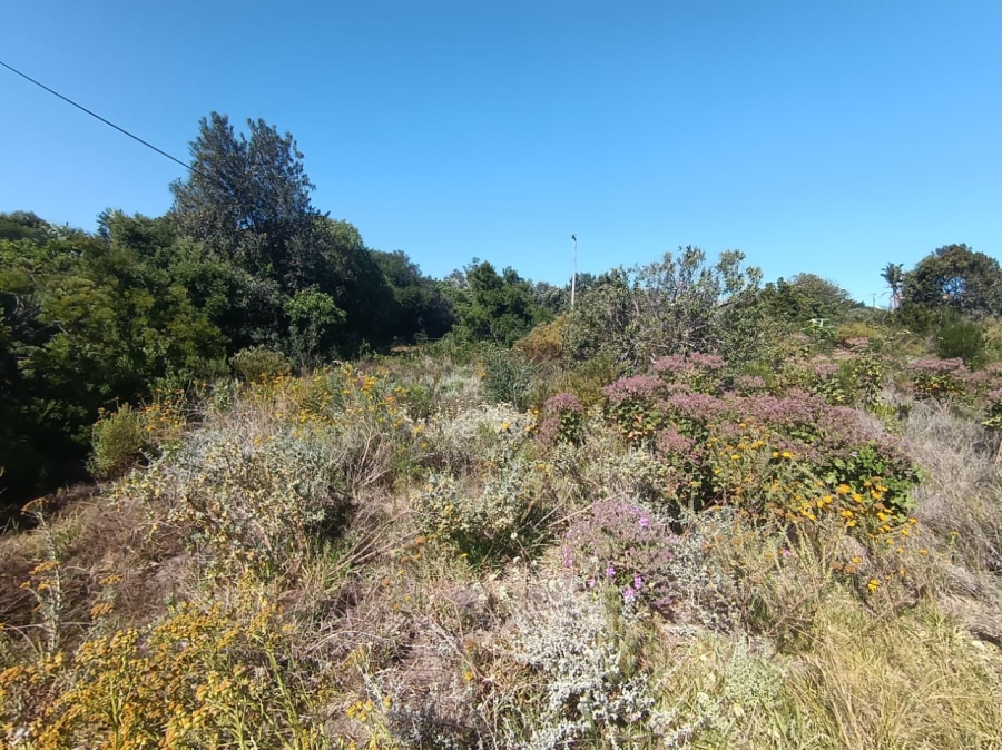 0 Bedroom Property for Sale in Fisherhaven Western Cape